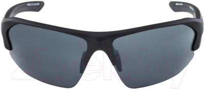 Очки солнцезащитные Alpina Sports Lyron HR / A86323-31 (черный матовый)