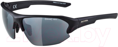 Очки солнцезащитные Alpina Sports Lyron HR / A86323-31 (черный матовый)