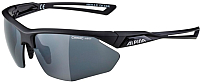 Очки солнцезащитные Alpina Sports Nylos HR / A86353-31 (черный матовый) - 