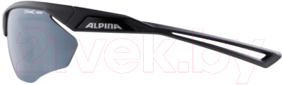 Очки солнцезащитные Alpina Sports Nylos HR / A86353-31 (черный матовый)
