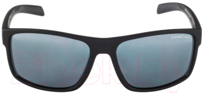 Очки солнцезащитные Alpina Sports Nacan I / A86493-30 (черный)