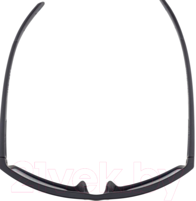 Очки солнцезащитные Alpina Sports Nacan I / A86493-31 (черный матовый)
