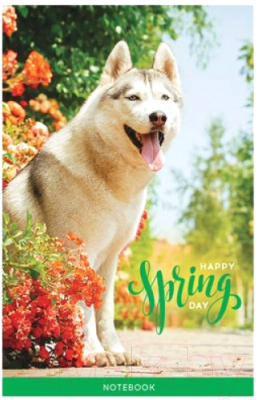 

Блокнот ArtSpace, Питомцы. Happy Day / Б7к48кл_21616