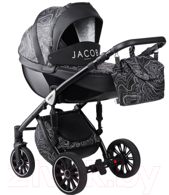 Детская универсальная коляска Anex Sport Jacob 2017 3 в 1 (AB07/jacob)