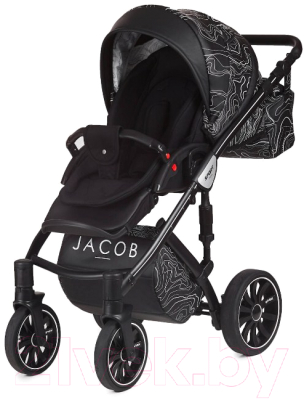 Детская универсальная коляска Anex Sport Jacob 2017 3 в 1 (AB07/jacob)