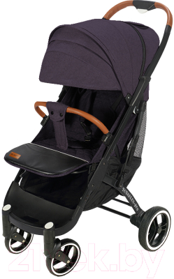 Детская прогулочная коляска Yoyaplus Pro Черная рама (Purple)