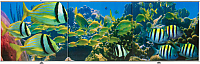 Экран для ванны Comfort Alumin Group Коралловый риф 3D 150x50 - 