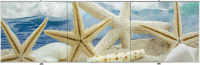 Экран для ванны Comfort Alumin Group Морская звезда 3D 170x50 - 