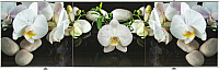 Экран для ванны Comfort Alumin Group Орхидея на черном 3D 170x50 - 