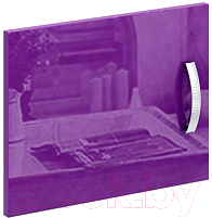 Дверца мебельная MFMaster Либерти / МСТ-СТЛ-ДС-ФИ-ГЛ (фиолетовый)