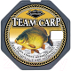 Леска монофильная Konger Team Carp 0.35мм 280м / 214001035 - 