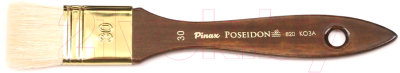 

Кисть для рисования Pinax, Poseidon №30 / 820030