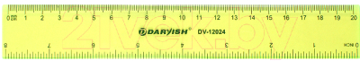 Линейка Darvish DV-12024 (20см)