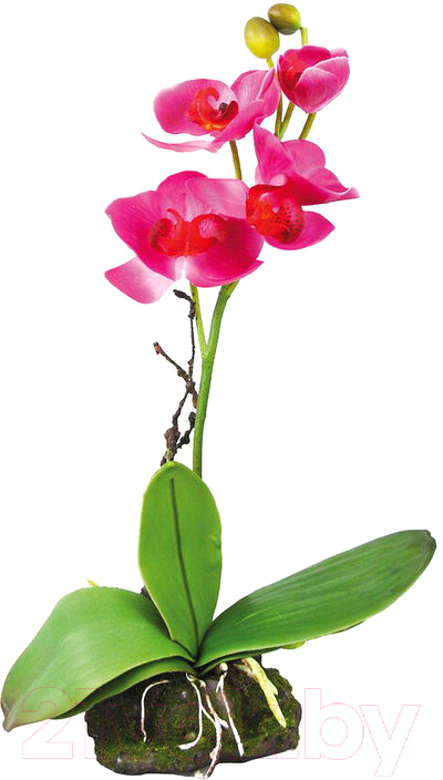 Декорация для террариума Lucky Reptile Orchid Pink / IF-11 (розовый)