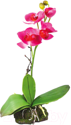 Декорация для террариума Lucky Reptile Orchid Pink / IF-11 (розовый)