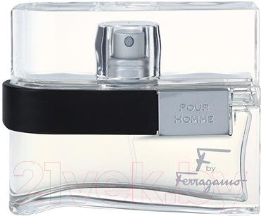 

Туалетная вода Salvatore Ferragamo, F By