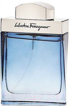 

Туалетная вода Salvatore Ferragamo, Subtil
