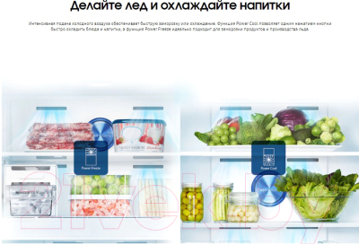 Холодильник с морозильником Samsung RT62K7110SL/WT