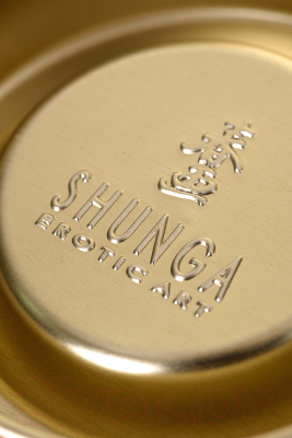 Эротическое массажное масло Shunga Intoxicating Chocolate / 2209 (100мл)