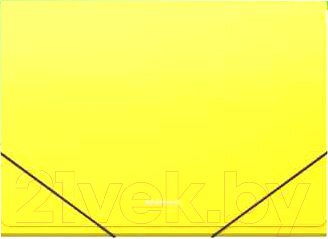 

Папка для бумаг Erich Krause, Diagonal Neon / 50422