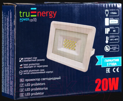 Прожектор Truenergy 13112 20W 6500K