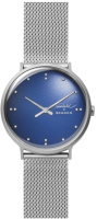 

Часы наручные мужские Skagen, SKW6584