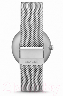 Часы наручные мужские Skagen SKW6584