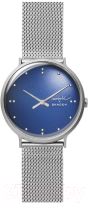 Часы наручные мужские Skagen SKW6584
