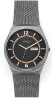 

Часы наручные мужские Skagen, SKW6575