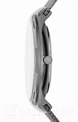 Часы наручные мужские Skagen SKW6575