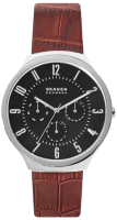 Часы наручные мужские Skagen SKW6536 - 