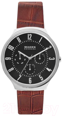 Часы наручные мужские Skagen SKW6536