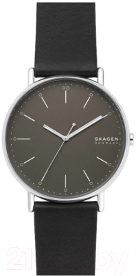 Часы наручные мужские Skagen SKW6528