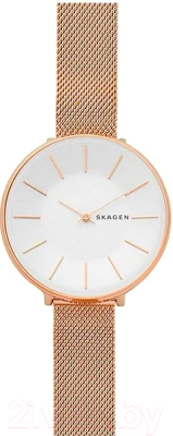 Часы наручные женские Skagen SKW2688