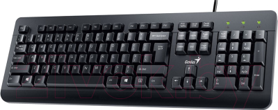 Клавиатура+мышь Genius KM-160 (черный)