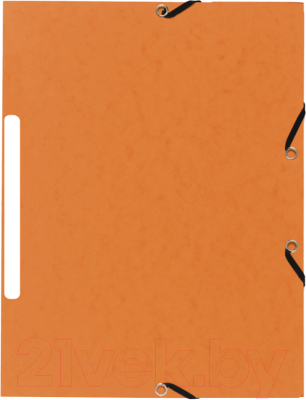 Папка для бумаг Exacompta Manila на резинках / 55474E (оранжевый)