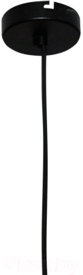 Потолочный светильник Элетех Шалот 211 НСБ 01-60-147 / 1005404313 (черный)