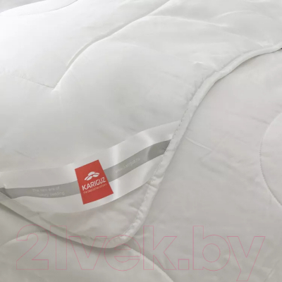 Одеяло Kariguz Bio Tencel БТ21-6-1
