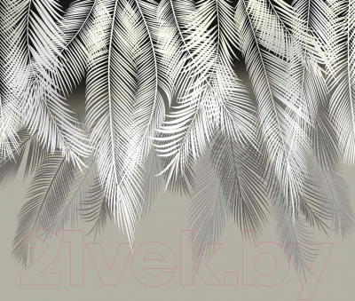 Фотообои листовые Citydecor Пальмовые листья (300x254)