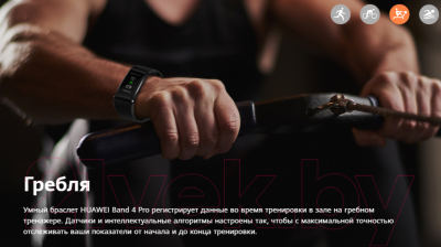 Фитнес-браслет Huawei Band 4 Pro / TER-B19S (красный дракон)