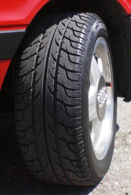 Летняя шина Tigar Prima High Performance 205/55R17 95W