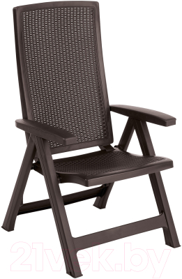 Кресло садовое Keter Montreal / 228103 (коричневый)