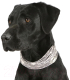 Миниатюра изображения товара Галстук-бабочка для собак Scruffs Insect Shield Dog Snood / 937126 (XL)