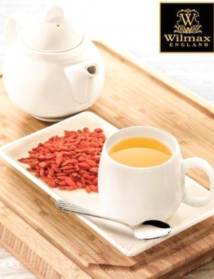 Заварочный чайник Wilmax WL-994009/1С
