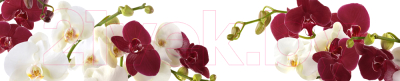 Скиналь Оптион Цветы. Орхидеи на Белом 49 (стекло, 2800x600x3)
