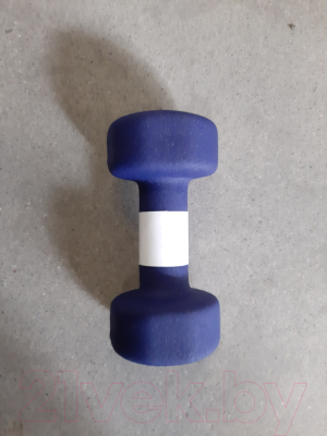 Изображение товара Гантель Relmax Неопреновая (2кг, синий)