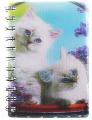 

Блокнот Darvish, Животные / DV-747