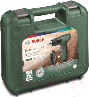 Аккумуляторная дрель-шуруповерт Bosch EasyImpact 1200 (0.603.9D3.104)