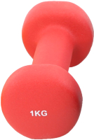 Гантель Iron People IR92004 (1кг)