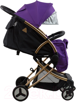 Детская прогулочная коляска Aimile Summer Gold / FPG-1 (фиолетовый/черный)